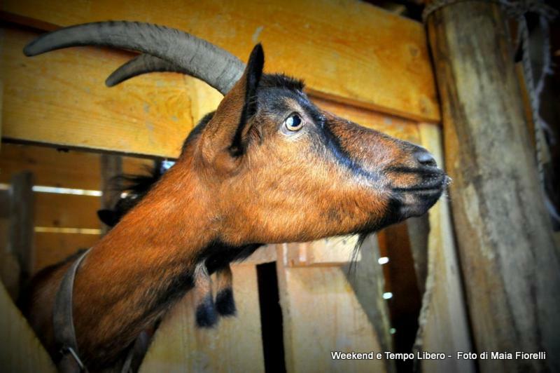 Agriturismo Slowcanda Cardella 外观 照片
